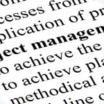Web Development Project Management (Hourly Rate)