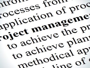 Web Development Project Management (Hourly Rate)